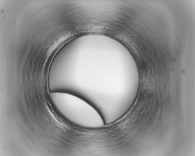 X0000088090674200705111103