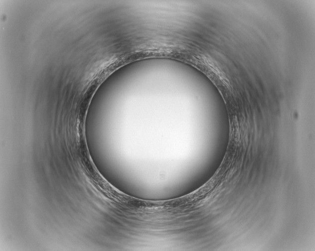 X0000088090692200705111102
