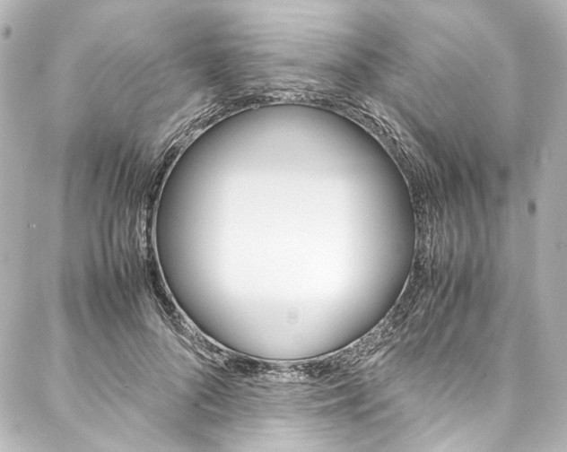 X0000088090696200705111102