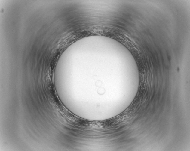 X0000088090702200705111102