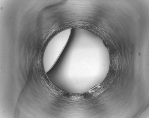X0000088090708200705111102