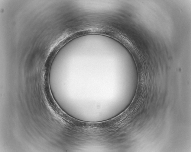 X0000088090730200705111101