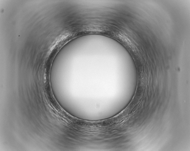 X0000088090731200705111101
