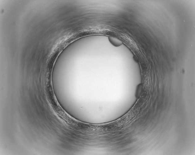 X0000088090736200705111101