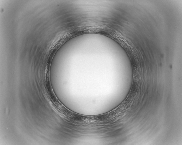 X0000088090742200705111101