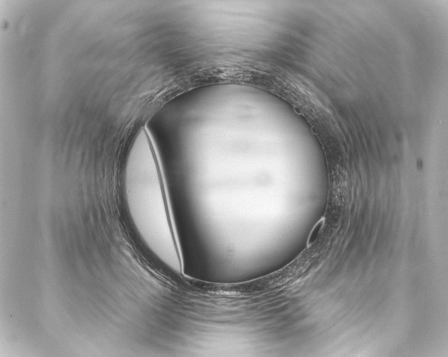 X0000088090748200705111102