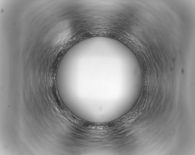 X0000088090751200705111102