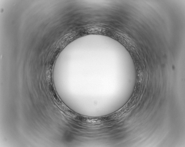 X0000088090753200705111102