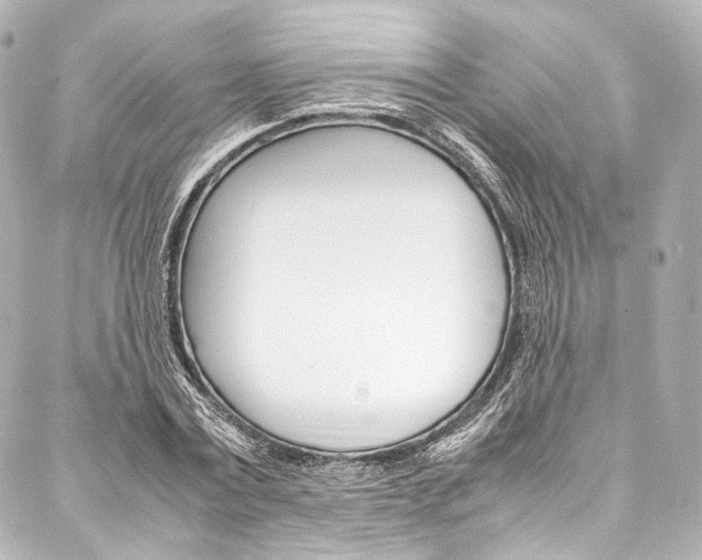 X0000088090779200705111101
