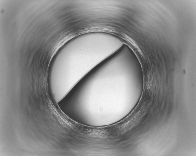 X0000088090786200705111101