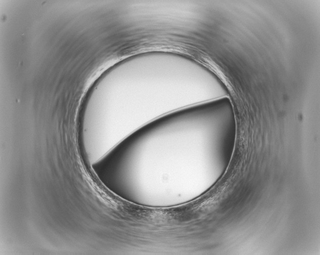 X0000088090787200705111101