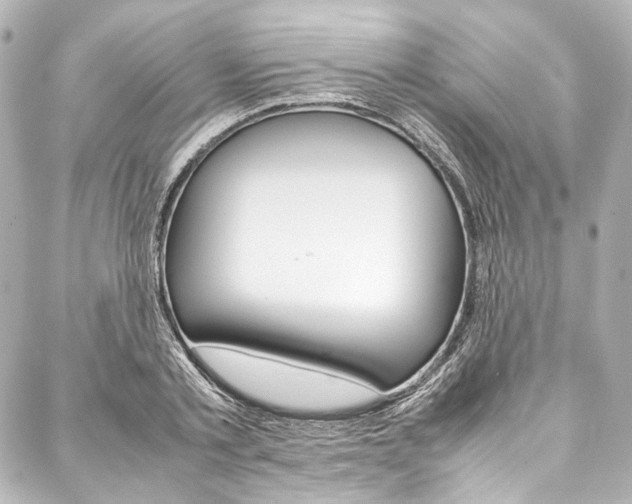 X0000088090789200705111101