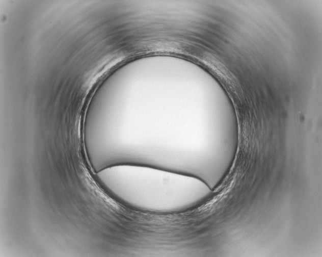 X0000088090790200705111101