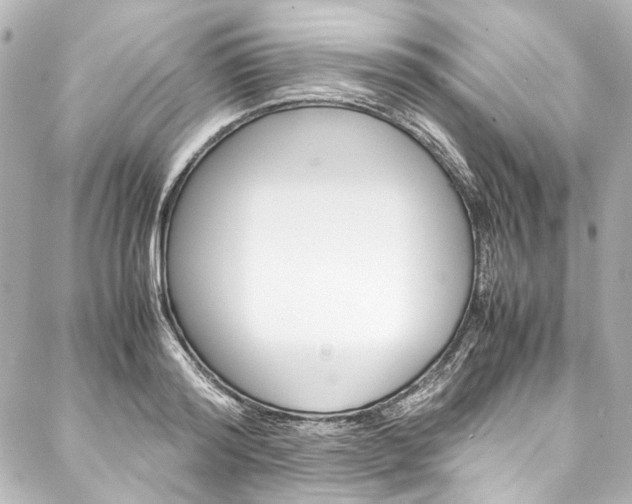 X0000088090796200705111101