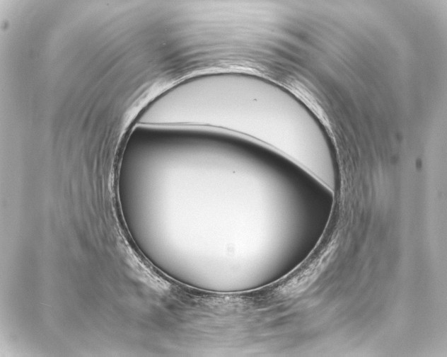 X0000088090797200705111101