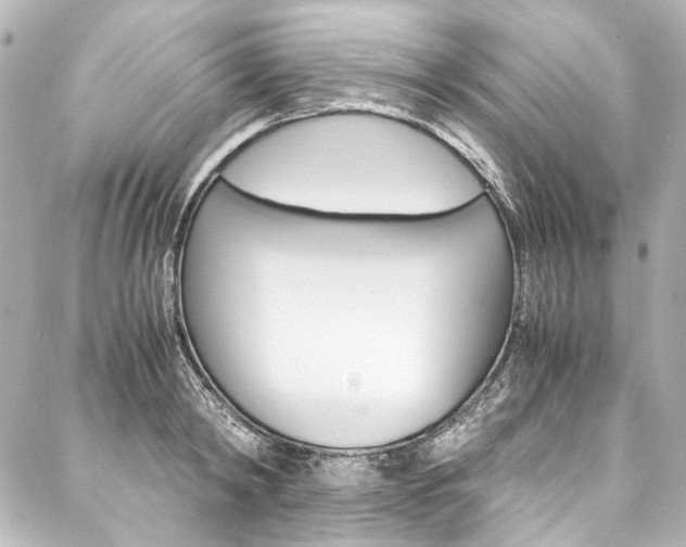 X0000088090798200705111101