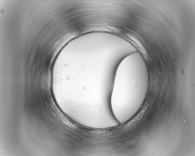 X0000088090804200705111100