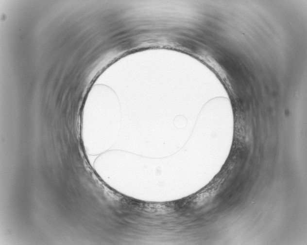 X0000088090807200705111100