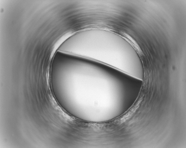 X0000088090812200705111100