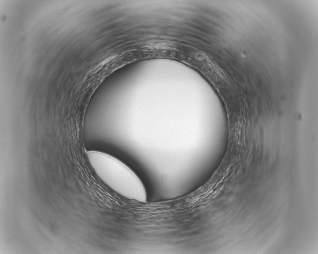 X0000088090821200705111100