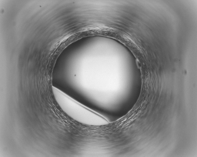 X0000088090822200705111100