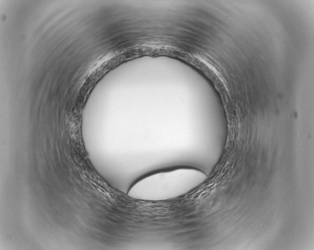 X0000088090823200705111100
