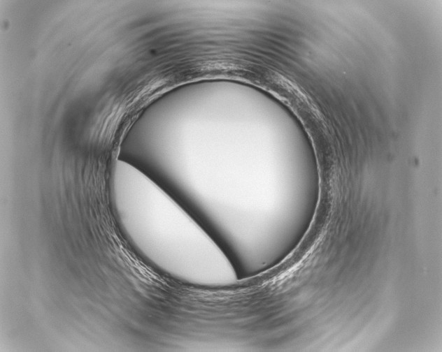 X0000088090825200705111100