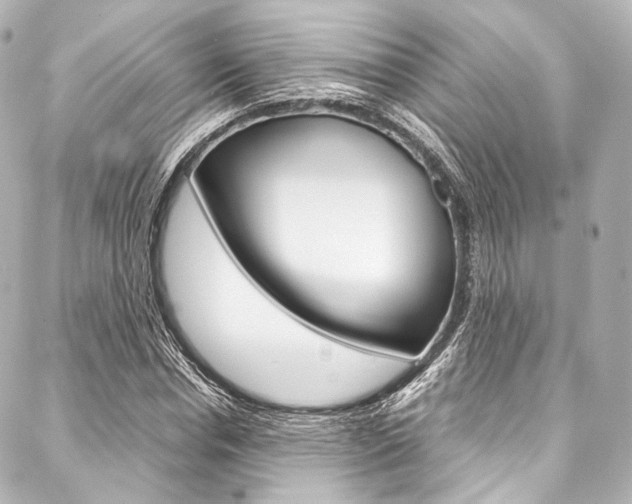 X0000088090826200705111100