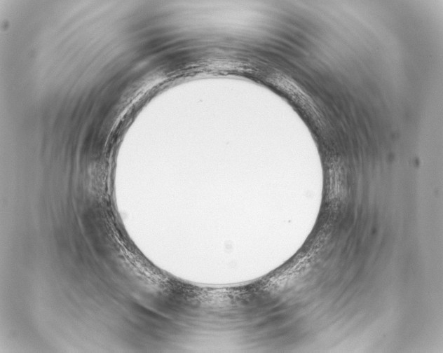 X0000088090828200705111100