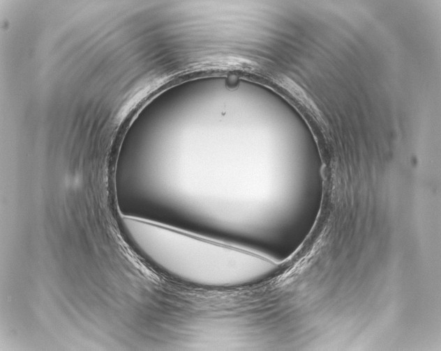 X0000088090834200705111100