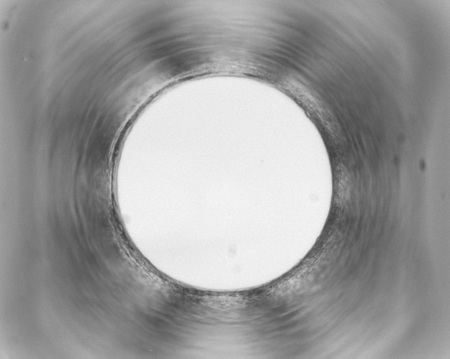 X0000088090836200705111100