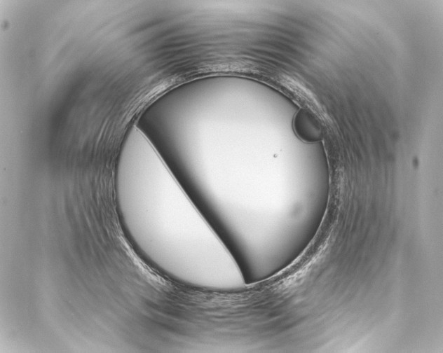 X0000088090841200705111100