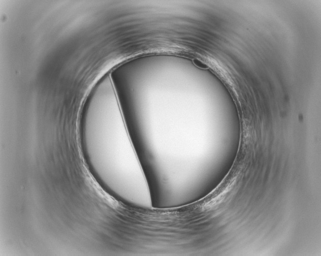 X0000088090843200705111100