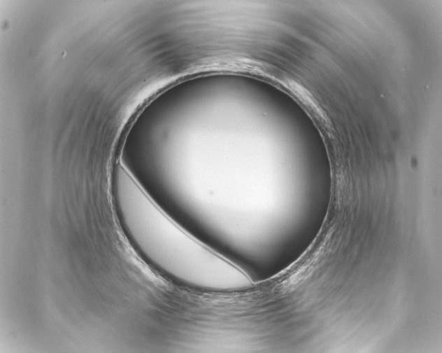 X0000088090846200705111100