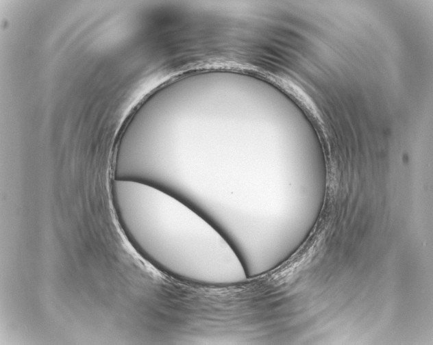 X0000088090847200705111100