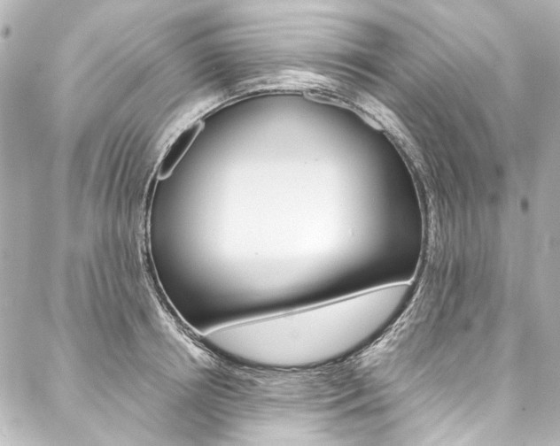 X0000088090850200705111100