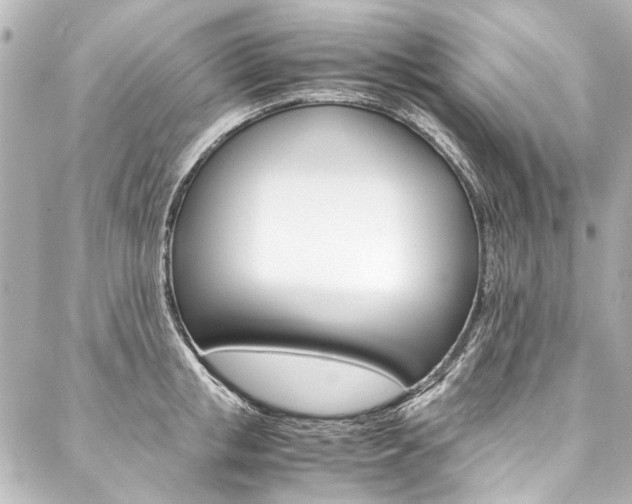 X0000088090853200705111100
