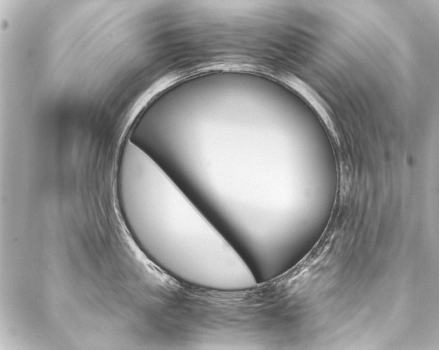 X0000088090861200705111100