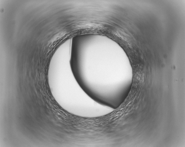 X0000088090869200705111059