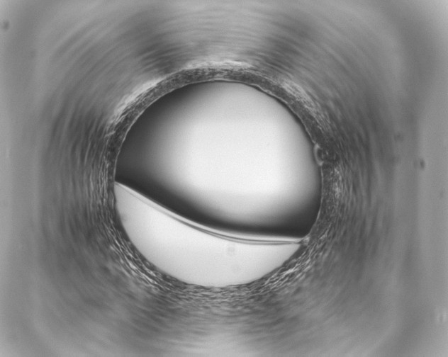X0000088090872200705111059