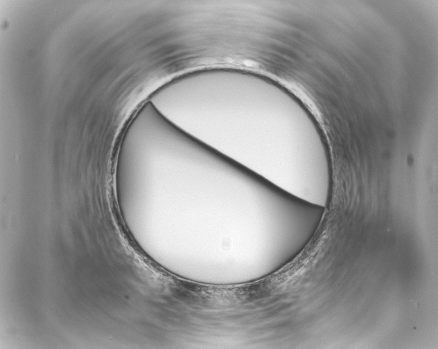 X0000088090895200705111059