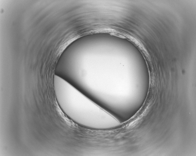 X0000088090905200705111059