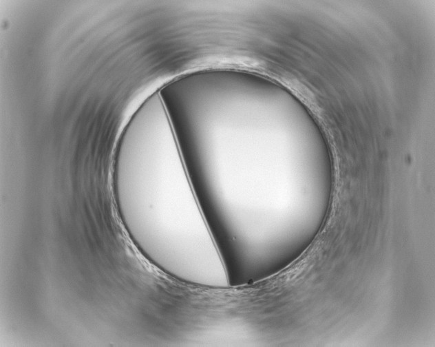 X0000088090912200705111059