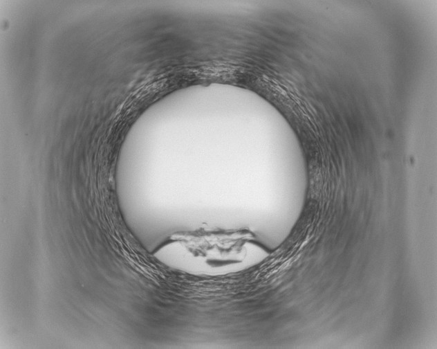 X0000088090913200705111058