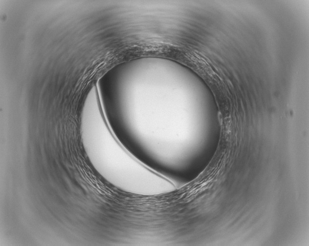 X0000088090916200705111058