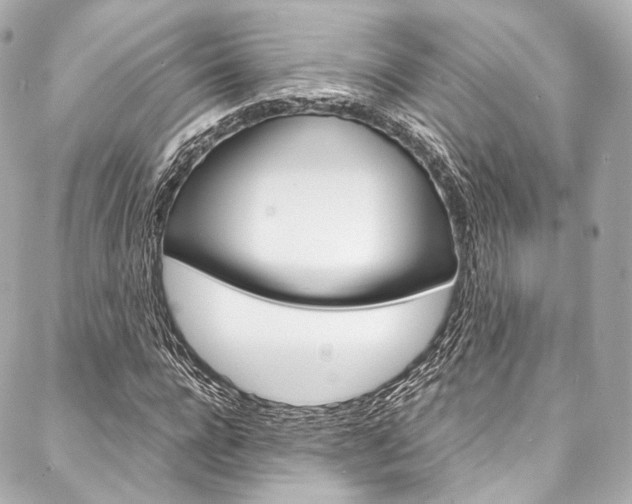 X0000088090920200705111058