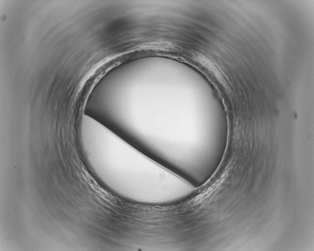 X0000088090923200705111058