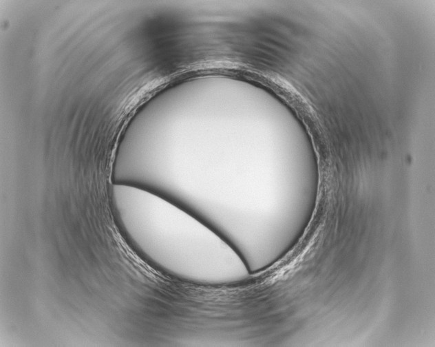 X0000088090929200705111058