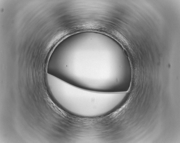 X0000088090930200705111058