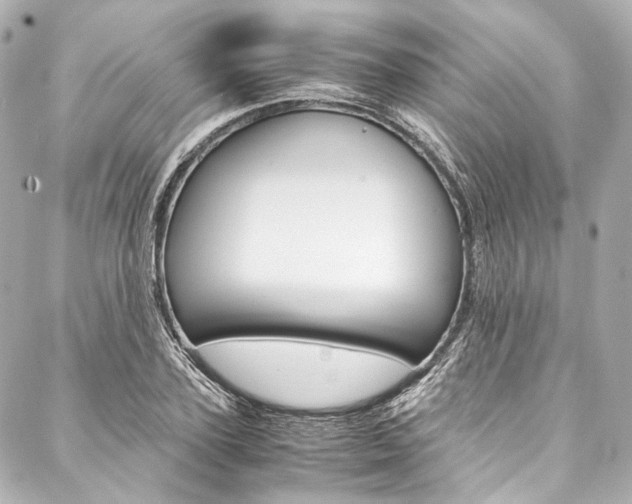 X0000088090931200705111058